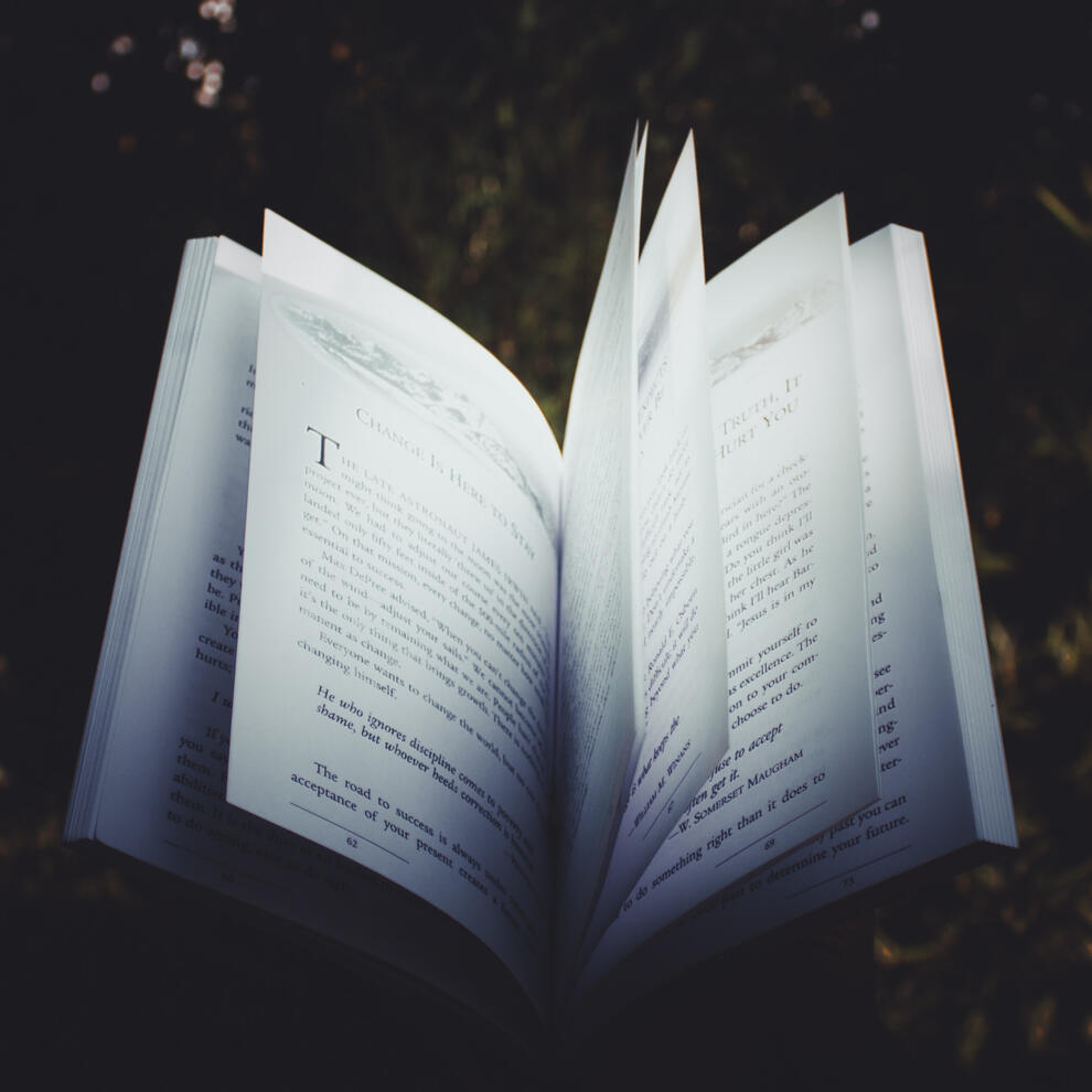 Give Me Your Face by Cambridge the Fourth